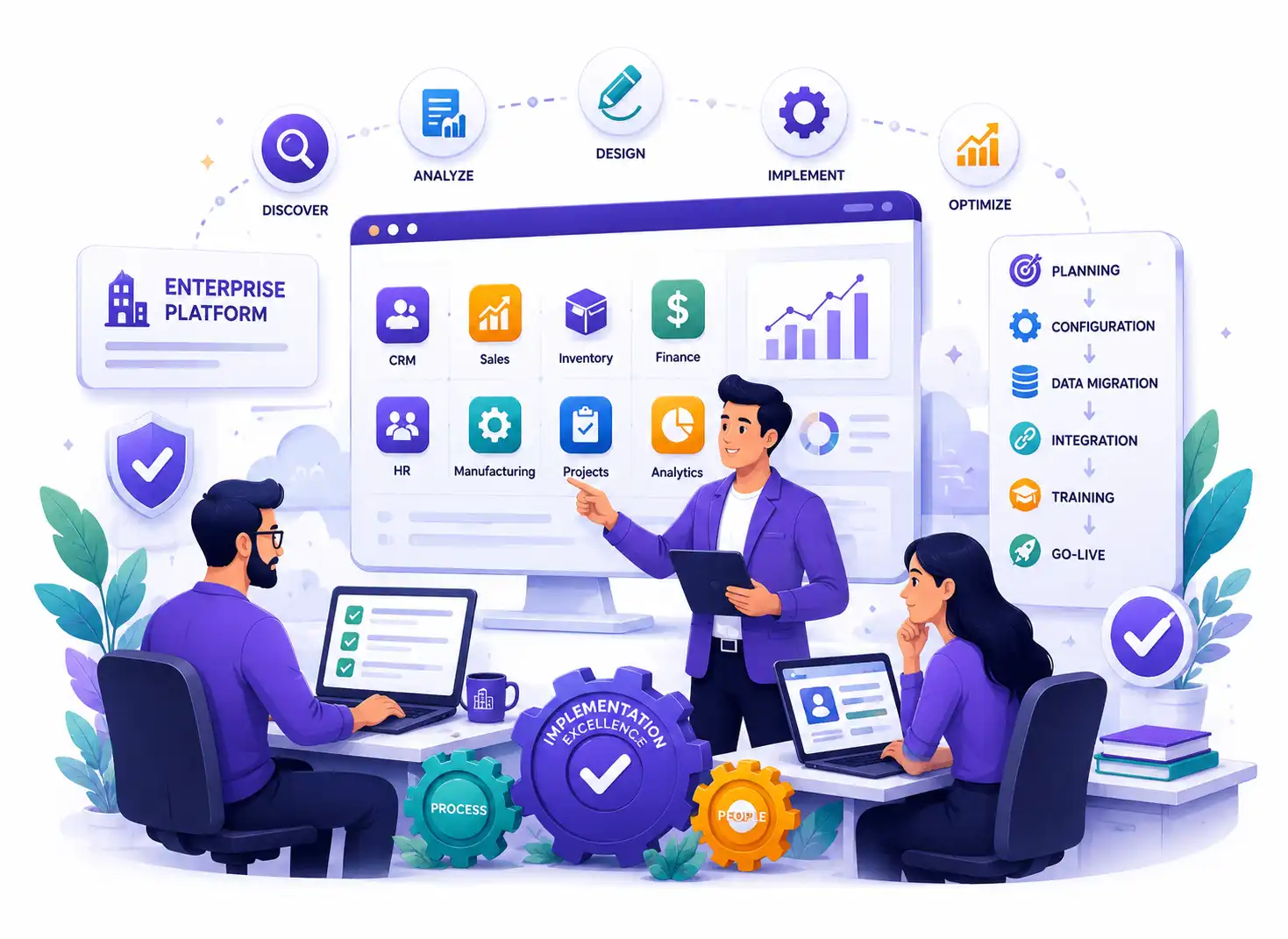 Enterprise Platform Implementation Services